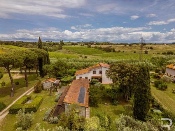 Rustico in Strada Provinciale di Montiano, Magliano in Toscana — foto 2 di 5