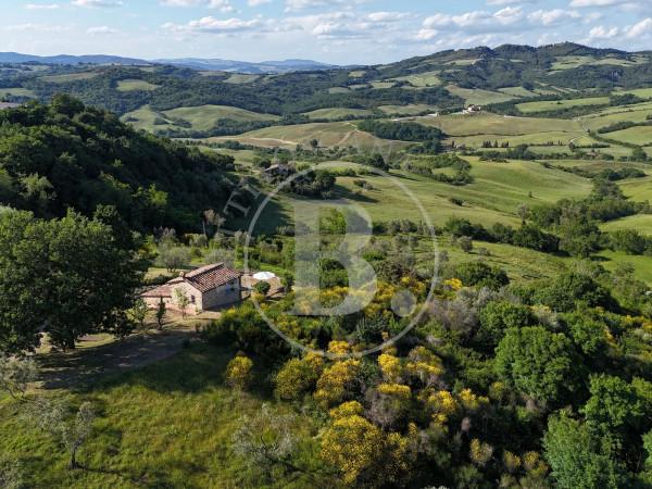 Rustico in Sp35, Radicondoli — foto 3 di 5