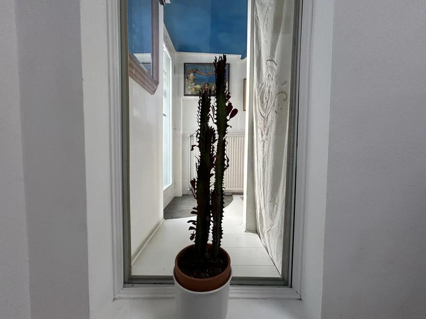 Casa indipendente, Revine Lago — foto 2 di 5