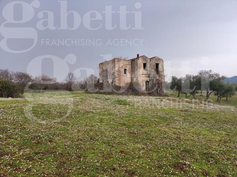 Rustico in Strada Vicinale di Valle Coppa 2, Vieste — foto 5 di 5