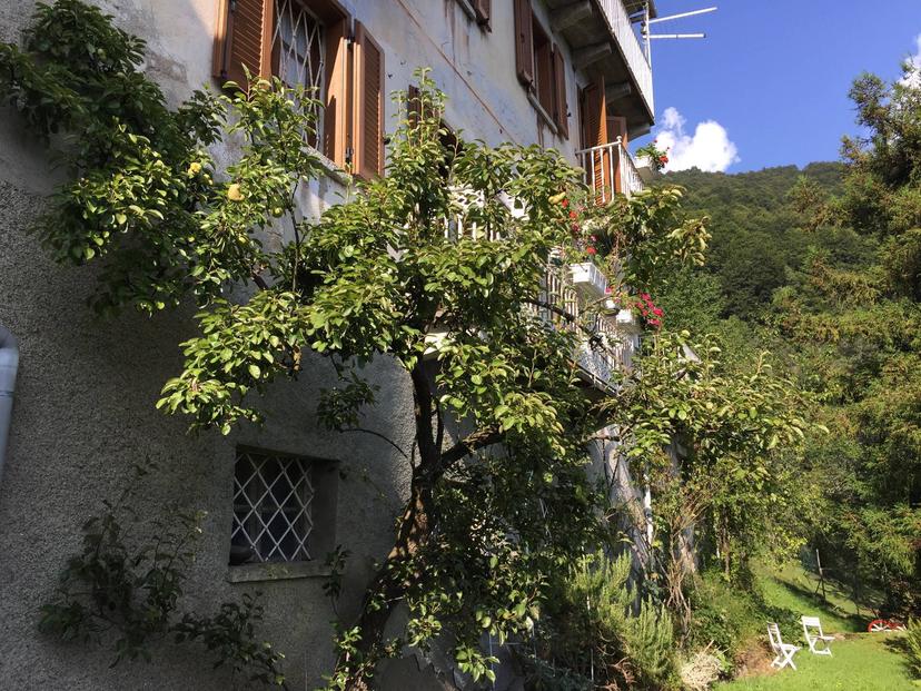Villa in Frazione Costa, Fobello — foto 3 di 5