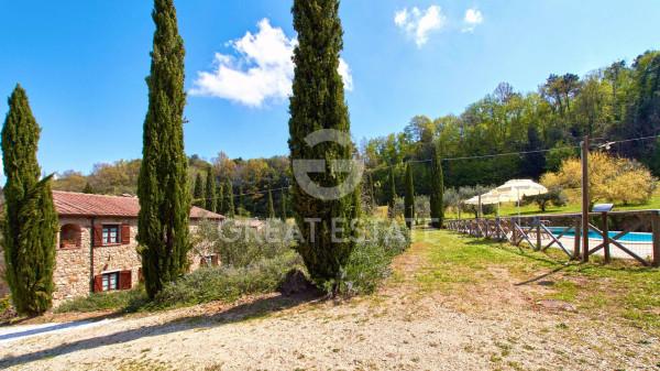 Casale in Via Podere Canapaia, Chianni — foto 3 di 5