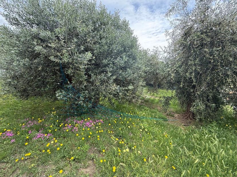 Appartamento in Via per Rosignano, Rosignano Marittimo — foto 3 di 5