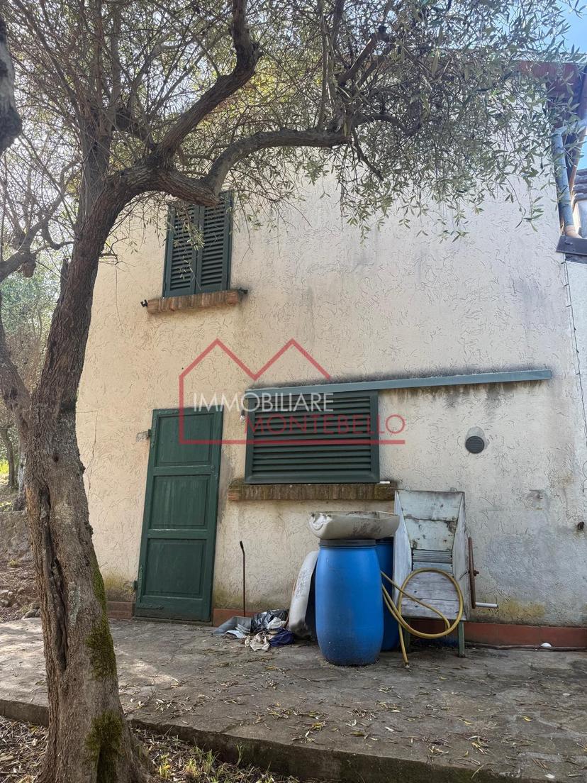 Casa indipendente in Greppolungo, Camaiore — foto 4 di 5