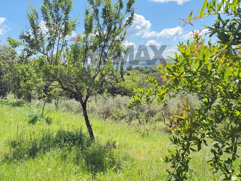 Villa in Contrada Selva 7, Campodipietra — foto 5 di 5
