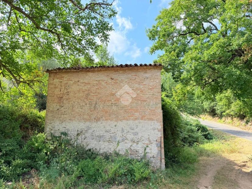 Rustico in Via Fontevecchia, Montasola — foto 2 di 5