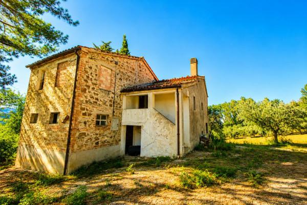 Casa colonica, Maiolati Spontini