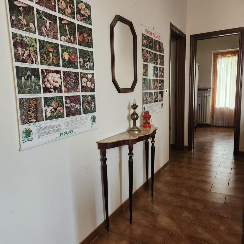 Casa indipendente, Monterchi — foto 2 di 5