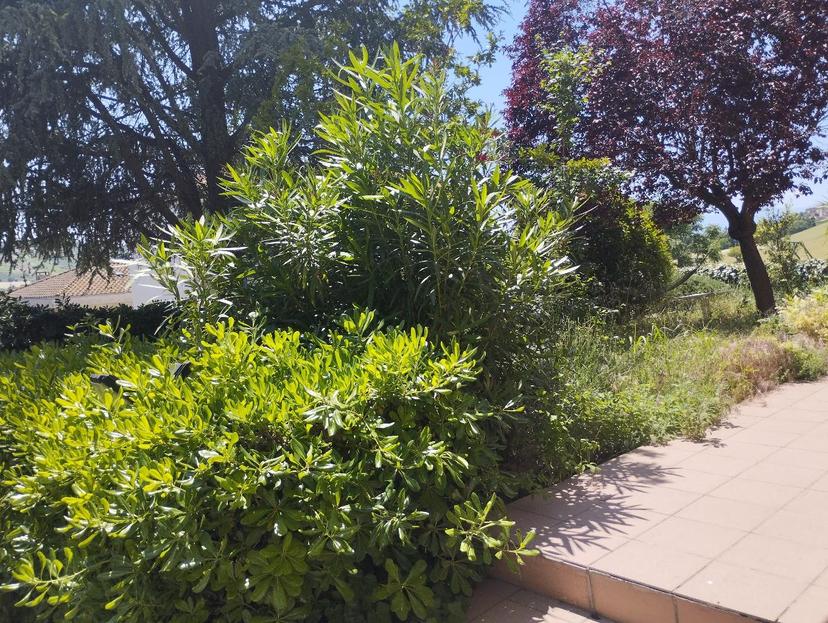 Villa unifamiliare in Castelvecchio, Monte Porzio — foto 2 di 5
