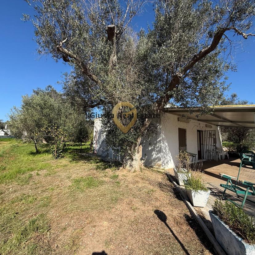 Villa in Contrada Tanusci, Latiano — foto 3 di 5