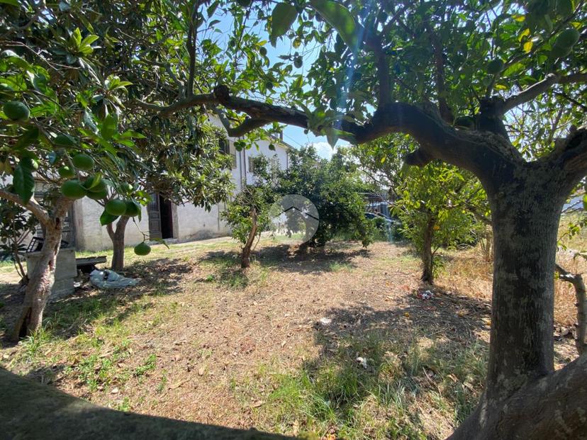 Casa indipendente in Via Gaiarda 35, Capaccio — foto 4 di 5