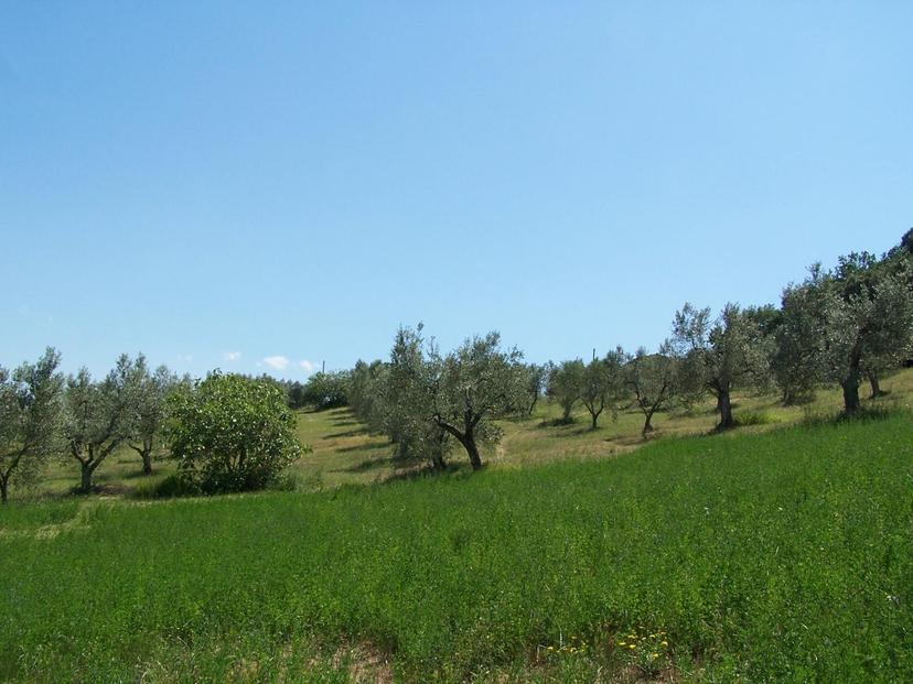 Casa indipendente in Ricci, Roccastrada — foto 2 di 5