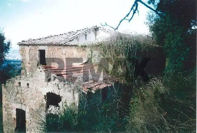 Rustico, Assisi — foto 2 di 5