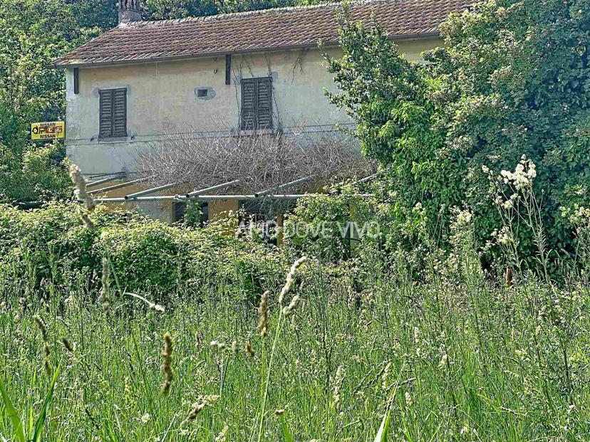 Casa indipendente, Senigallia — foto 4 di 5