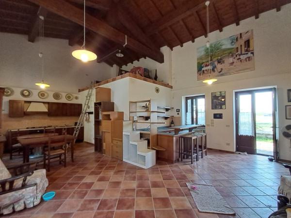 Cascina, Pieve Porto Morone — foto 5 di 5