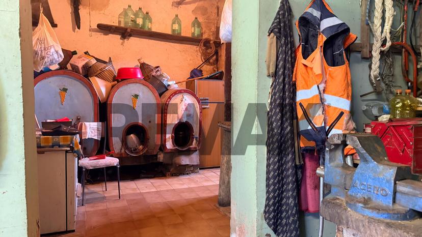 Rustico, Cingoli — foto 2 di 5