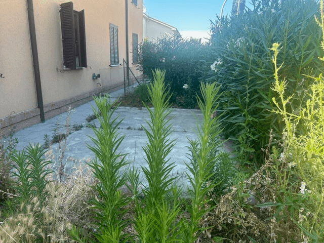 Trilocale in Via Guglielmo Marconi, Falconara Marittima — foto 4 di 5
