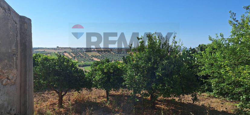 Rustico in Contrada Benuini Snc, Noto — foto 4 di 5