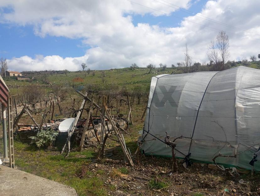 Rustico in Contrada Pignatone Sn, Randazzo — foto 4 di 5