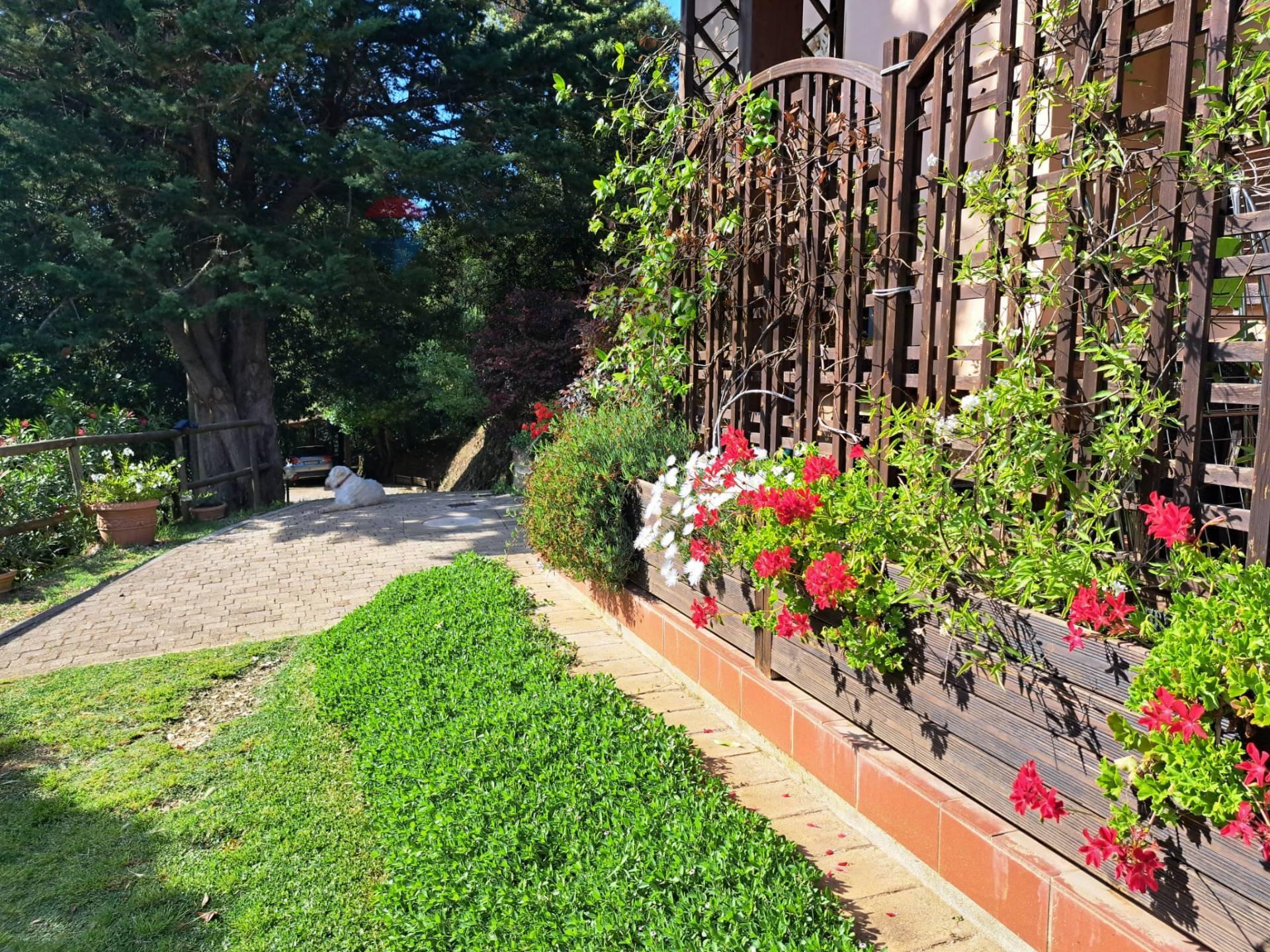 Rustico, Castagneto Carducci
