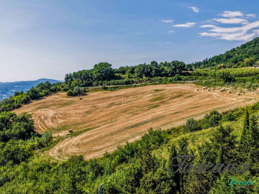 Rustico, Monterotondo Marittimo — foto 3 di 5