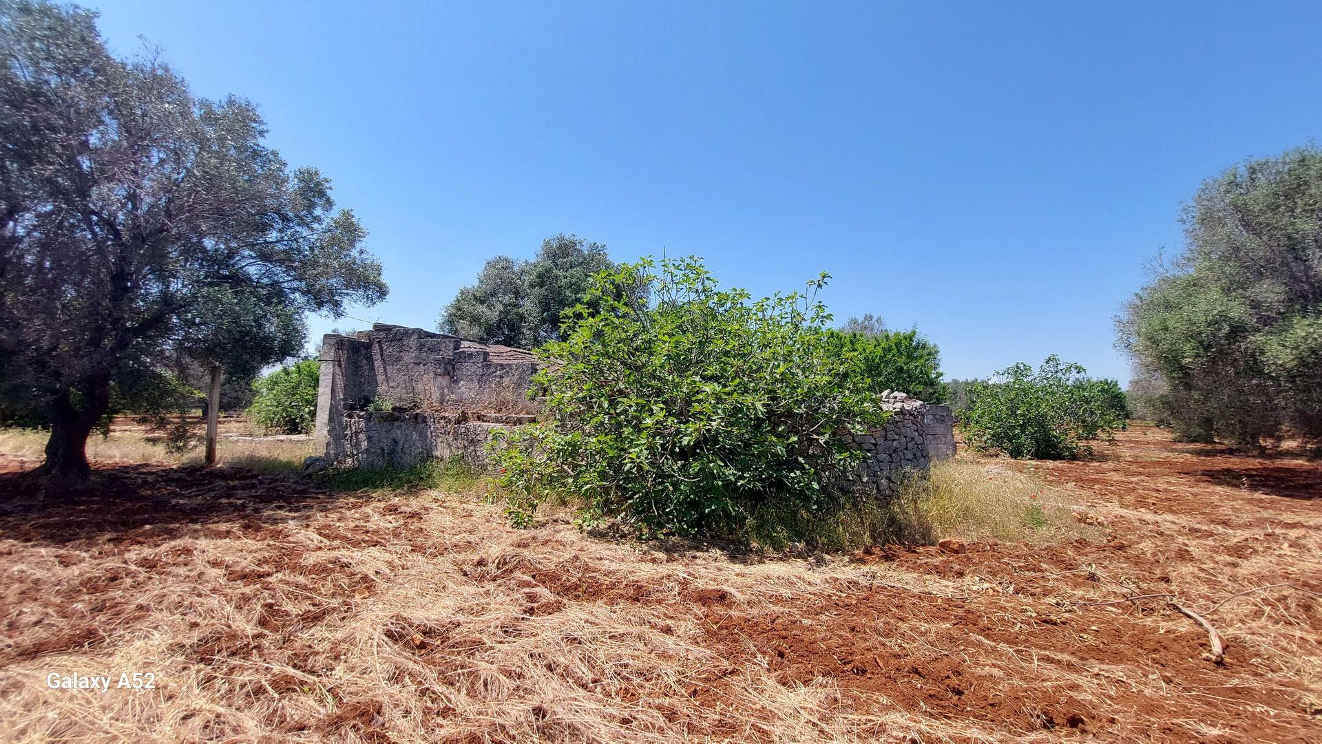 Rustico, San Vito dei Normanni