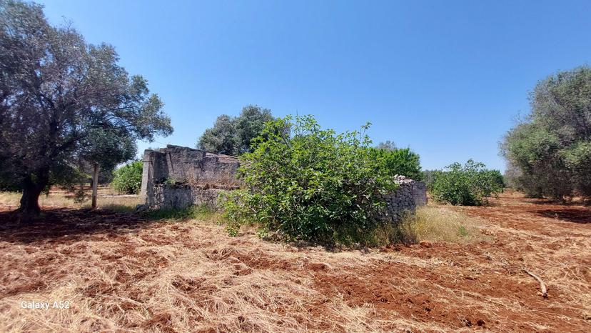 Rustico, San Vito dei Normanni