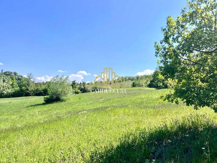Villa unifamiliare, Colli Verdi — foto 3 di 5