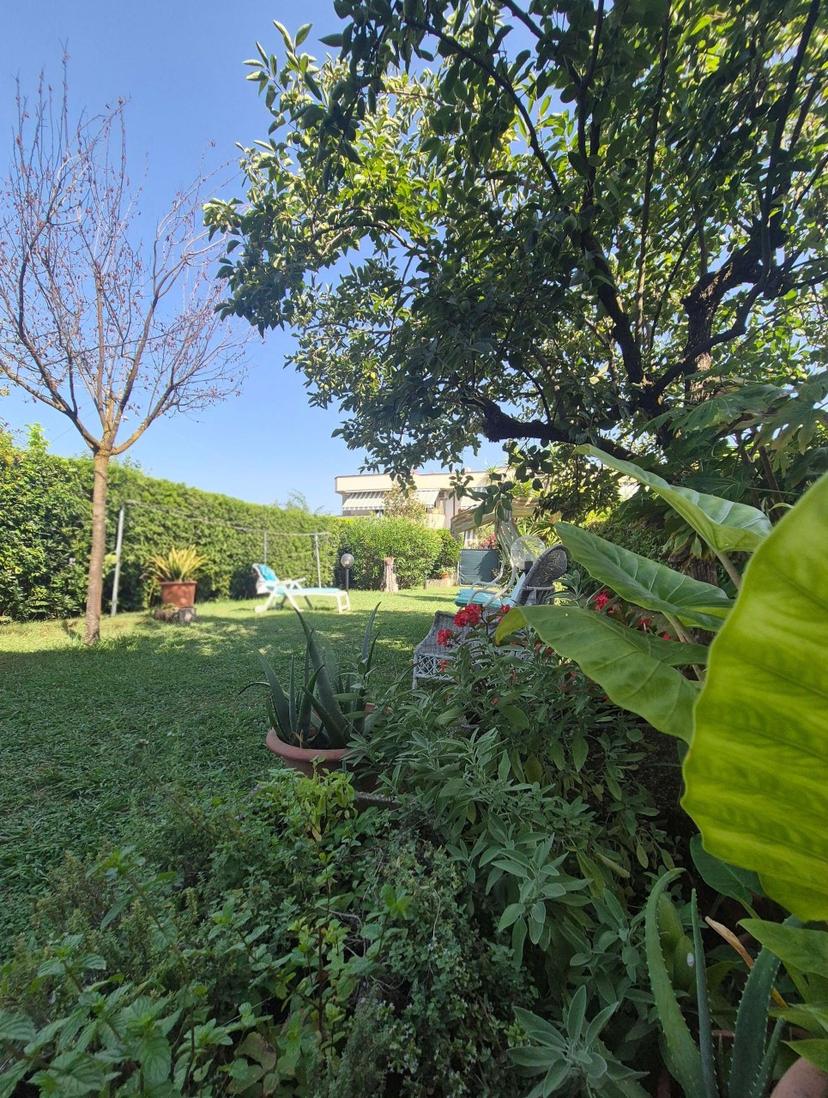 Quadrilocale, Massa