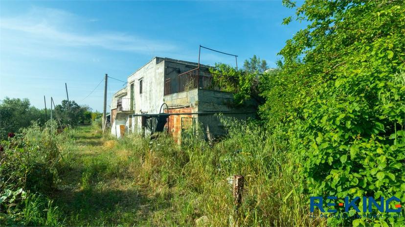 Rustico, Casarano — foto 3 di 5