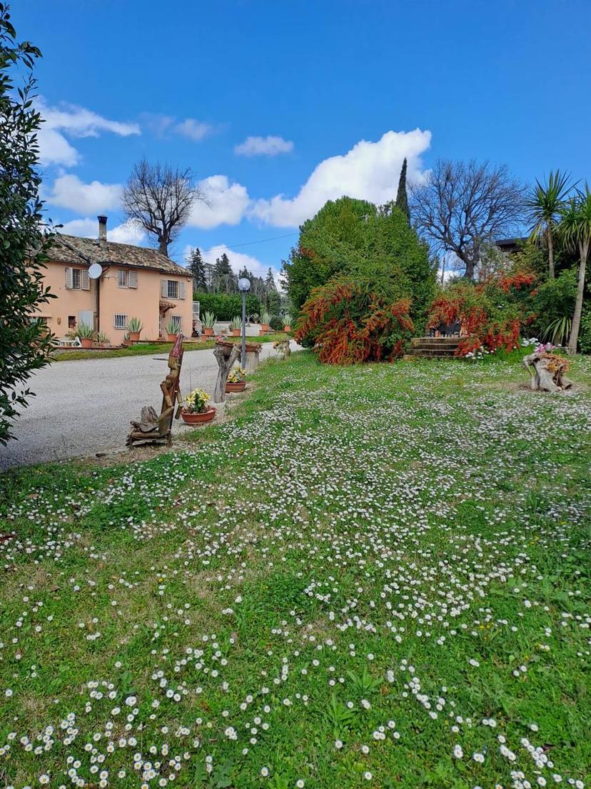 Casa indipendente, Treia — foto 2 di 5