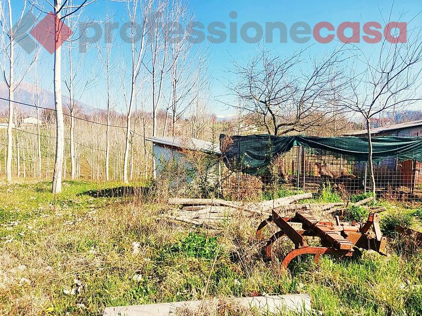 Rustico in Via del Colle, Pignataro Interamna — foto 2 di 5