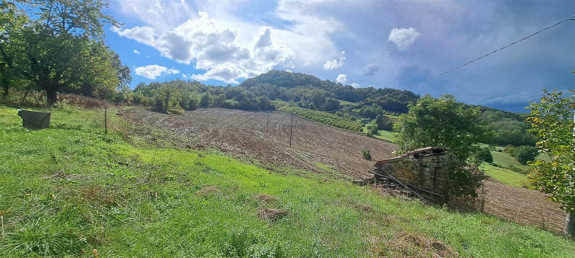 Rustico, Melazzo