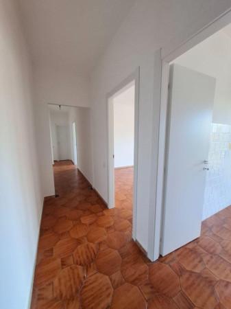 Trilocale in Via Adua, Vedano Olona — foto 2 di 5