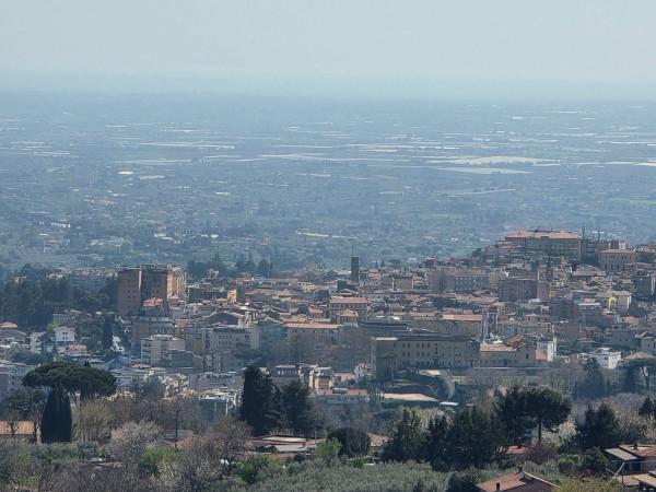 Villa in Via del Cigliolo 231, Velletri — foto 4 di 5