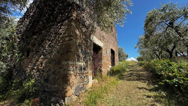 Rustico in Via di Colonna, San Cesareo — foto 4 di 5