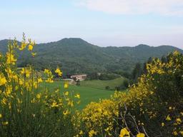 Baita/chalet in Carmine s.n.c, Colli Verdi