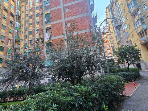 Camera in Via Filippo Meda, 169, Pietralata - Tiburtina, Roma