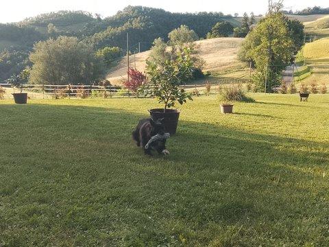 Casale/cascina in Via Ca' Nova, 5, Loiano