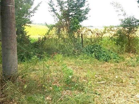 Casale/cascina in Cascina Colomba, 52, Mirabello Monferrato