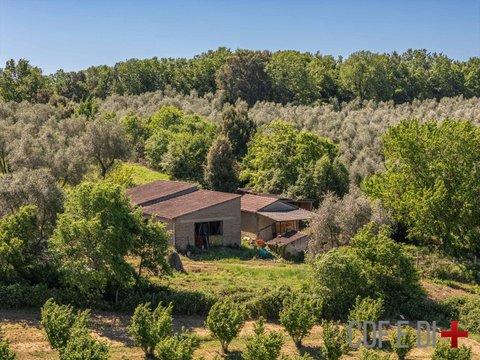 Casale/cascina in Strada Provinciale Sovana s.n.c, Sorano