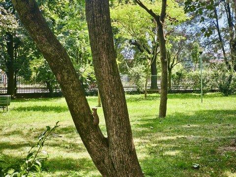 Quadrilocale in Via Antonio Cechov, 20, Gallaratese, Milano