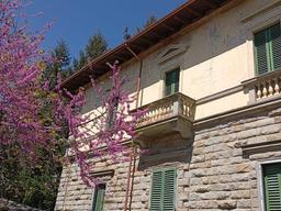 Villa in Via dei Boschi, Vaglia