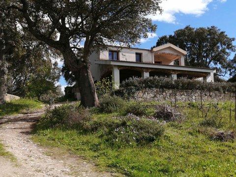Villa in Via Parapinta, 13, Tempio Pausania