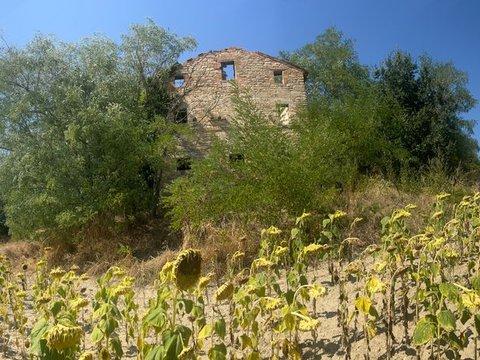 Casale/cascina in Contrada Santa Maria, 35, Montelparo