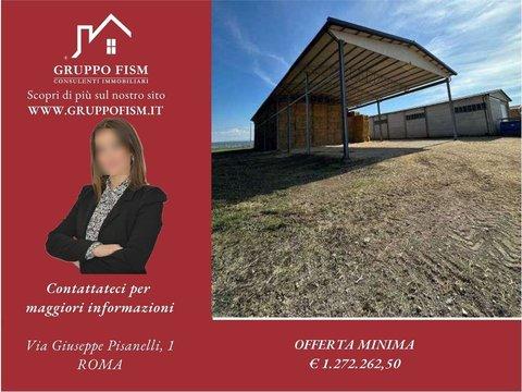 Casale/cascina in Piazzale Trieste, Tuscania