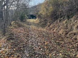 Casale/cascina in barbanti s.n.c, Pergola