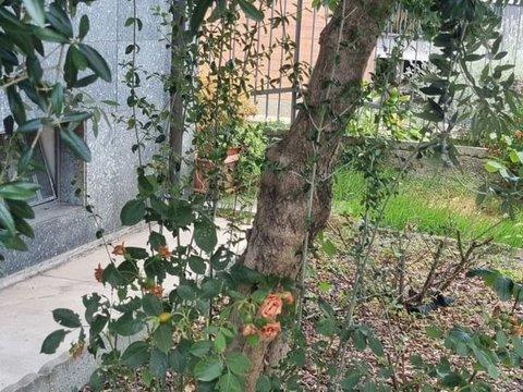 Bilocale in Via Avigliana, 111, Terracorta - Leumann, Collegno
