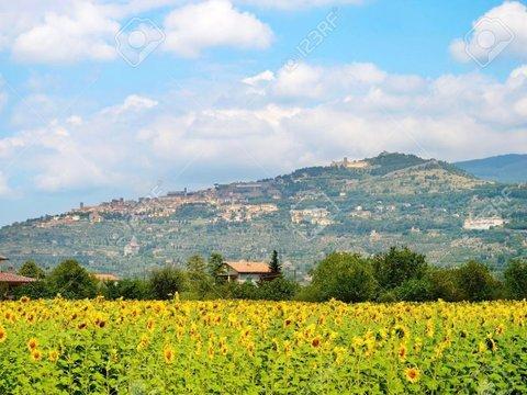 Villa a Centro, Scandicci