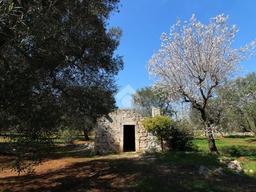 Casale/cascina in Contrada Votano Russo s.n.c, Contrada Falascuso - Contrada Votano Rosso, Ceglie Messapica